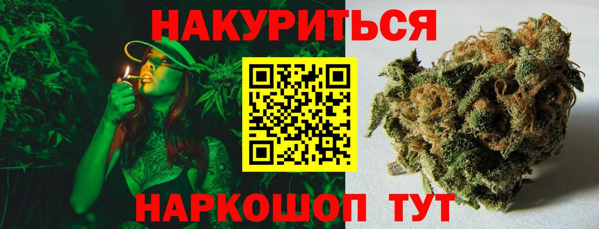 Конопля планчик  Вход с VPN  Бошки Шишки конопля  Зеленогорск 